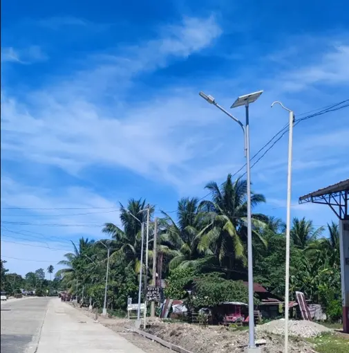 Soalr street light project in Malaysia --- August,2021