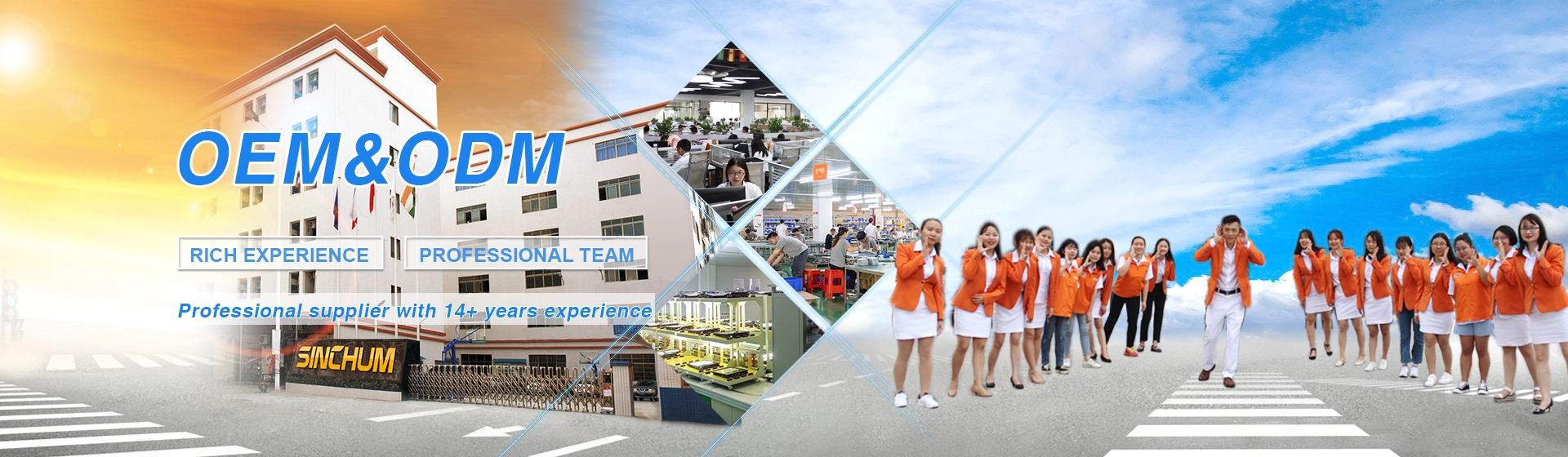 Professional Solar Street Light OEM&ODM Supplier